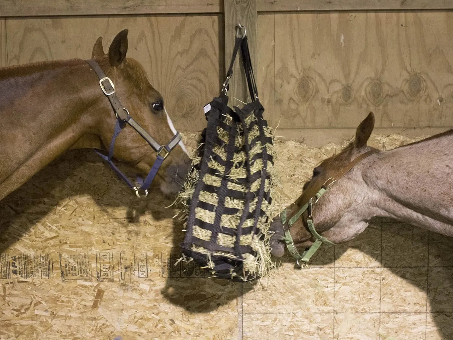 Derby Originals Supreme 4-Sided Slow Feed Hay Bag  Patented, 1-Year Warranty, 3.5" & 1.75" Openings