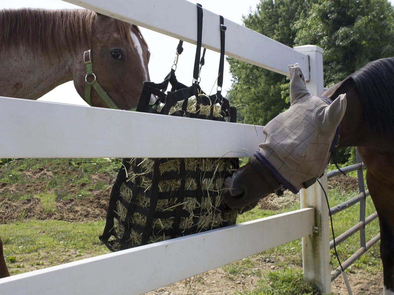 Derby Originals Supreme 4-Sided Slow Feed Hay Bag  Patented, 1-Year Warranty, 3.5" & 1.75" Openings